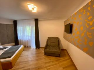 Apartament Pensiunea Liziera - Buşteni - 5