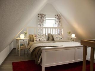 Dandelion Modern retreat - 1