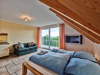 Tasteful holiday home with private pool - Hellenthal - 8
