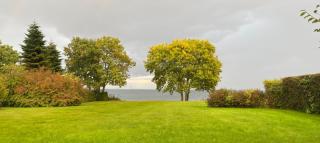 Sea view house - all year round - Frørup - 9