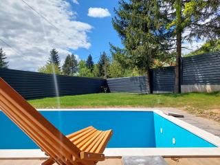 Orange Villa with private pool - Ilidža - 6