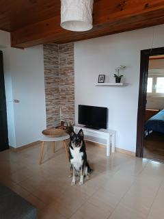 Vivienda vacacional Casa Feli - 2