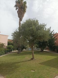 Villa Veronica Villasimius - Villasimius - 8