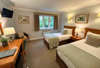 New Forest Lodge - 4