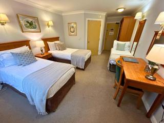 New Forest Lodge - 1