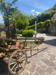 B&B Il giardino di Armida - Ogliastro Cilento - 2