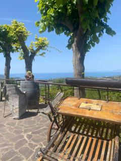 B&B Il giardino di Armida - Ogliastro Cilento - 8