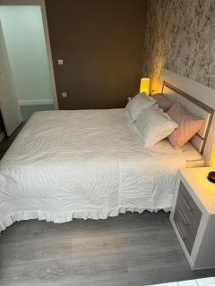 LOGROÑO CENTRO A ESTRENAR WIFI IMPECABLe - 2