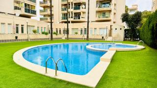 Palatino Albir - Albir - 8