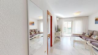 Palatino Albir - Albir - 6