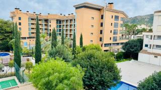 Palatino Albir - Albir - 9