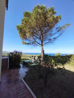 Surf and Fun Asinara - Sorso - 4