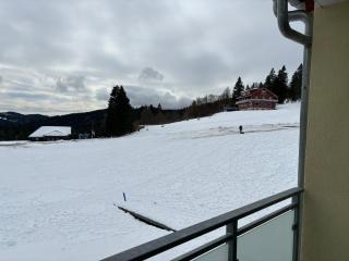 Apartment 207 - Feldberg - 1
