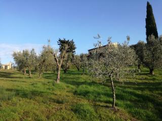 Cintoia, Tuscany Beautiful villa with private pool - 2