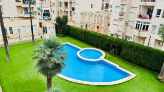 Palatino Albir - Albir - 0