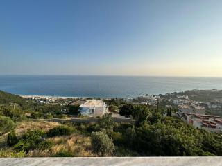 Dima Vista - 3