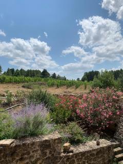 Mas Héritage - Rosières - 3