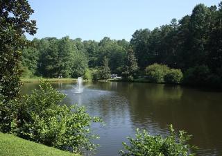 Hemlock Hideaway - Ellijay - 7