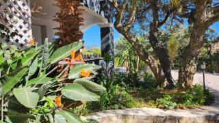 T3 .Vue.jardin Terrasse Parking. - Carqueiranne - 6