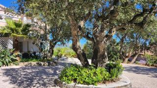 T3 .Vue.jardin Terrasse Parking. - Carqueiranne - 5