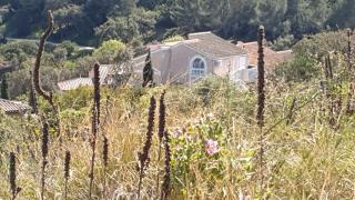 T3 .Vue.jardin Terrasse Parking. - Carqueiranne - 4