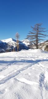 Neige et confort - Isola 2000 - 8