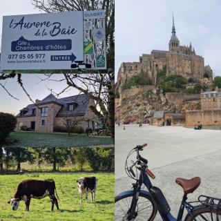 L'Aurore de la Baie, vue sur le Mont-Saint-Michel - Huisnes-sur-Mer - 8