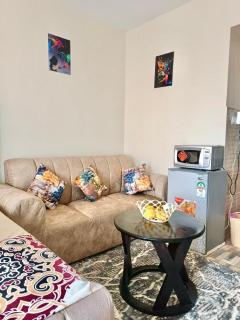 Homely studio Apartment 2 - Mombassa - 4