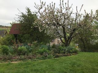 Ferienwohnung Landidylle - Friedrichshausen - 9