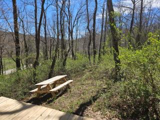 Black Oak Campsite at Hocking Vacations Campsites - Tent not Included - Logan - 8