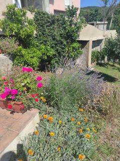 Il giardino fiorito - Santa Luce - 2