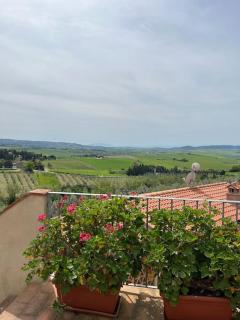 Il giardino fiorito - Santa Luce - 1