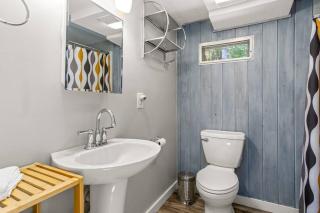 Mid-century mountain oasis - Juno - 4