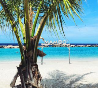 Cosy, peaceful studio in complex near Mambo Beach - Willemstad - 1