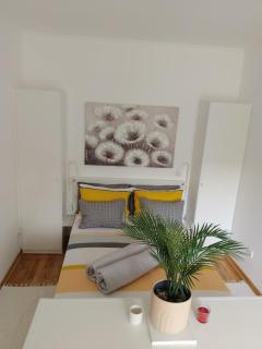 Studio SIESTA - Vrnjačka Banja - 2