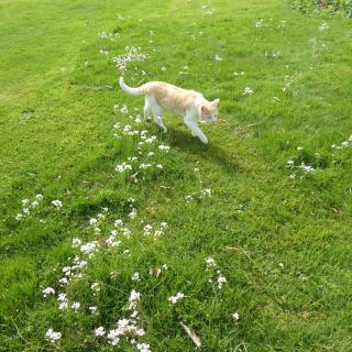 Entspannung im Zirkuswagen: außergewöhnliche und liebevoll eingerichtete Glamping-Unterkunft im Grünen -  - 6