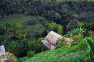 Encanto Toscano - Quimbaya - 4