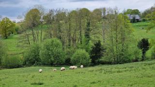 Maison calme avec Spa et beau paysage, à 40mn des plages - 4