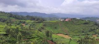 MANI'S WOOD HOUSE - Ooty - 1
