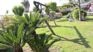Il giardino di Mary - 0
