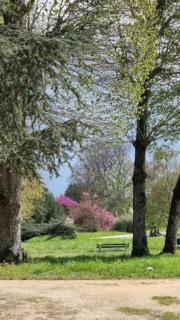 Pavillon des Écureuils au Château Royal de Benays - Benais - 2