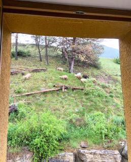 Chalet Les Blancs Sommets - 2