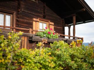 Weberhäusl am Penningberg - Hopfgarten im Brixental - 8