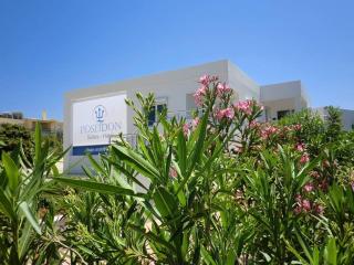 Poseidon Suites Hotel - Stavros - 9