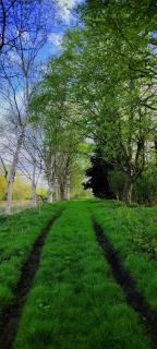 Furzehills Twin Lakes Camping and Caravaning site - Edlington - 7