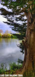 Furzehills Twin Lakes Camping and Caravaning site - Edlington - 3