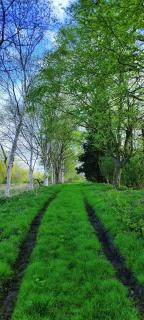 Furzehills Twin Lakes Camping and Caravaning site - Edlington - 1