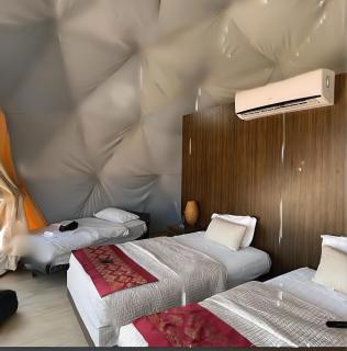 Rum Green Camp - Wadi Rum - 6