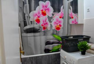 Apartman NEDA Pula,near the beach,free parking and wi-fi - Pula - 1