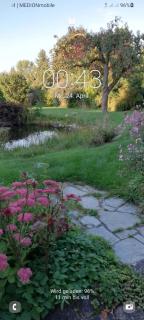 Haus Am Teich Oetjens - 8